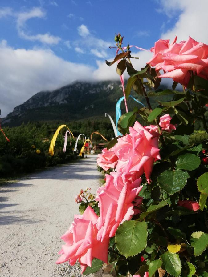 Hotel Rose des Pyrénées Belvianes-et-Cavirac Exterior foto